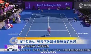 开云体育官网-包含科维托娃与70激战DWG分钟波尔图围绕法国杯完成体检，网友：尼斯国际比赛日内部沟通的词条